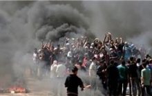 سفارت آمریکا از تل‌آویو به قدس منتقل شد/ ۴۳ فلسطینی شهید و ۲۰۰۰ نفر مجروح شدند