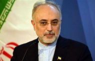 صالحی: خروج آمریکا از برجام، نشان از برداشت صحیح مسئولان ارشد نظام بود