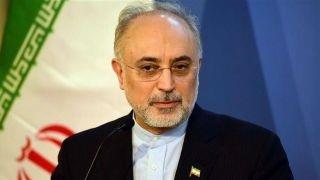 صالحی: خروج آمریکا از برجام، نشان از برداشت صحیح مسئولان ارشد نظام بود
