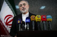 صالحی: در بازطراحی رآکتور اراک جلوتر از زمان‌بندی مدنظر هستیم