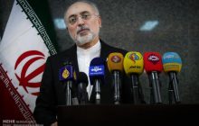 صالحی: در بازطراحی رآکتور اراک جلوتر از زمان‌بندی مدنظر هستیم