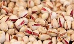 چین روی پسته آمریکا ۴۵ درصد تعرفه اعمال کرد/ از دست رفتن بازار آمریکا به نفع ایران