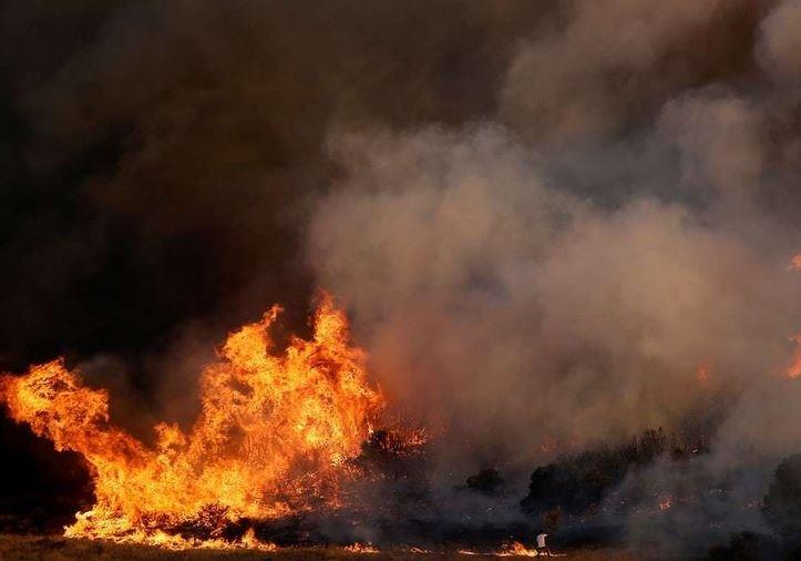 ۲۰ کشته به دنبال آتش سوزی در جنگل‌های آتن