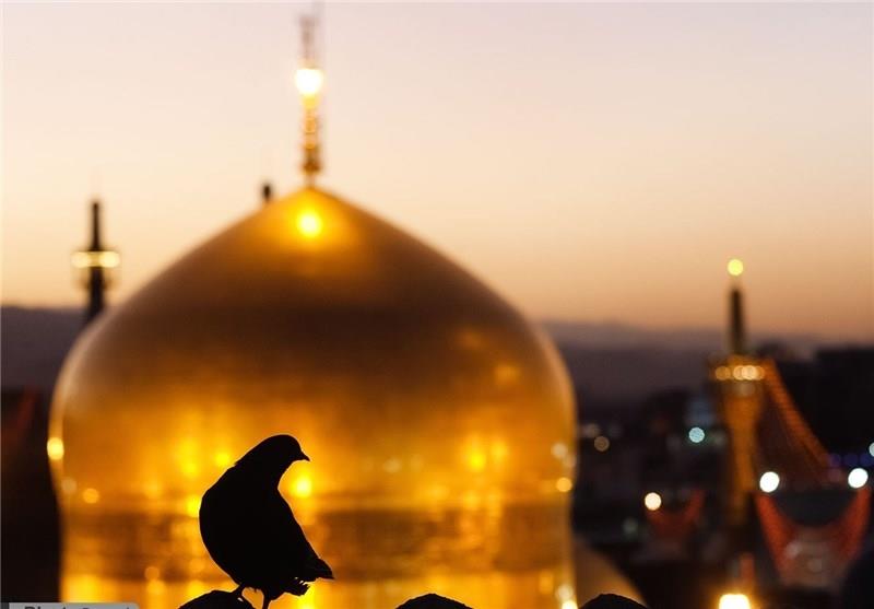 مدیحه سرایی و قرائت صلوات خاصه امام رضا(ع) در صحن علنی مجلس
