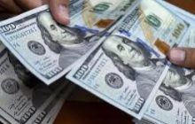 ریزش قیمت ۲۹ ارز در بازار بین بانکی/نرخ انواع میوه در میادین/برای خرید آپارتمان در منطقه نازی آباد چقدر باید هزینه کرد؟